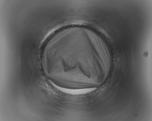 X0000112471256200909071125