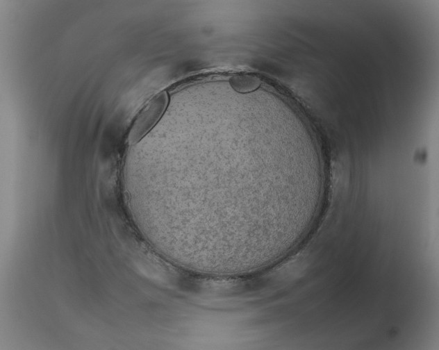 X0000112471257200909071125