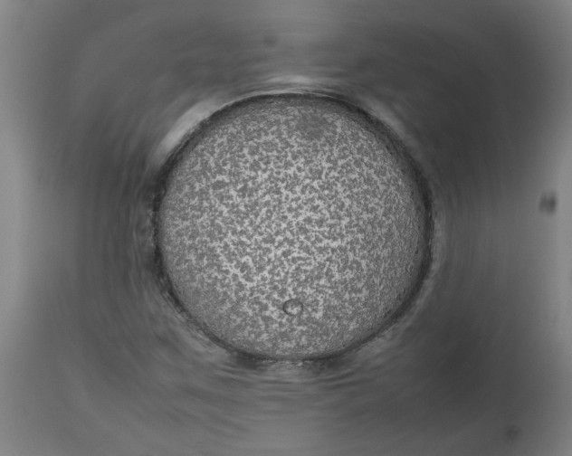 X0000112471259200909071125