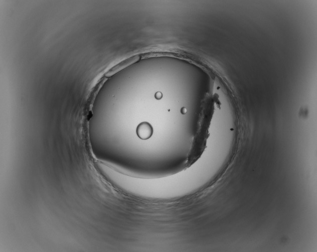 X0000112471260200909071125