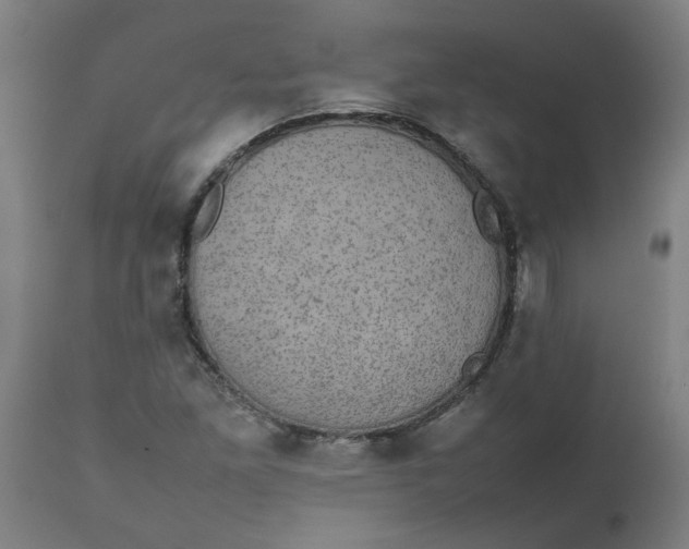 X0000112471261200909071125