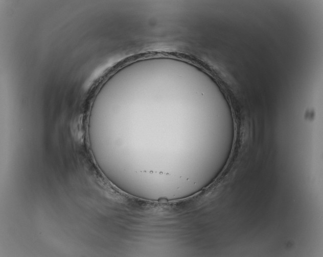 X0000112471262200909071125