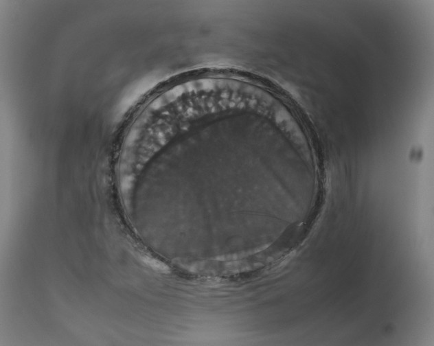 X0000112471263200909071125