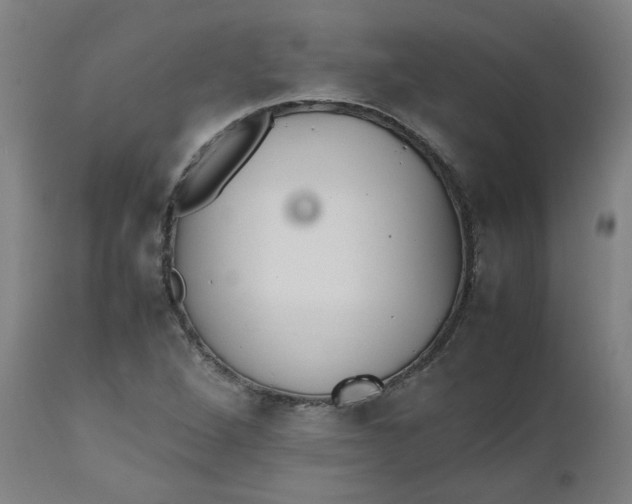 X0000112471264200909071125