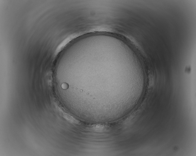 X0000112471266200909071125