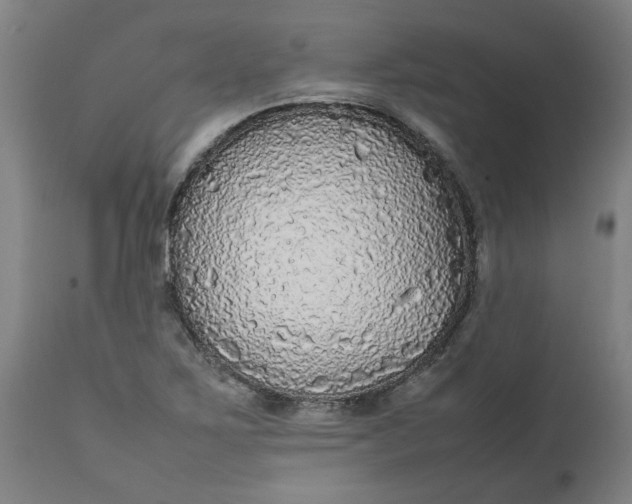 X0000112471267200909071125