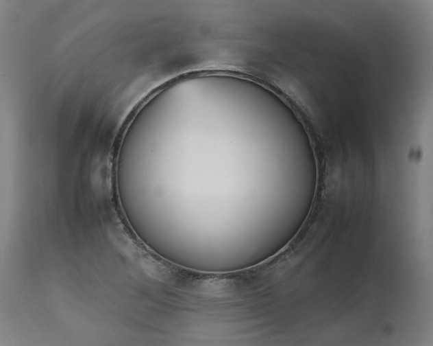 X0000112471268200909071125