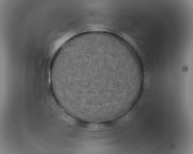 X0000112471269200909071125