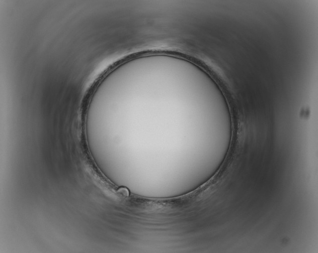 X0000112471270200909071125