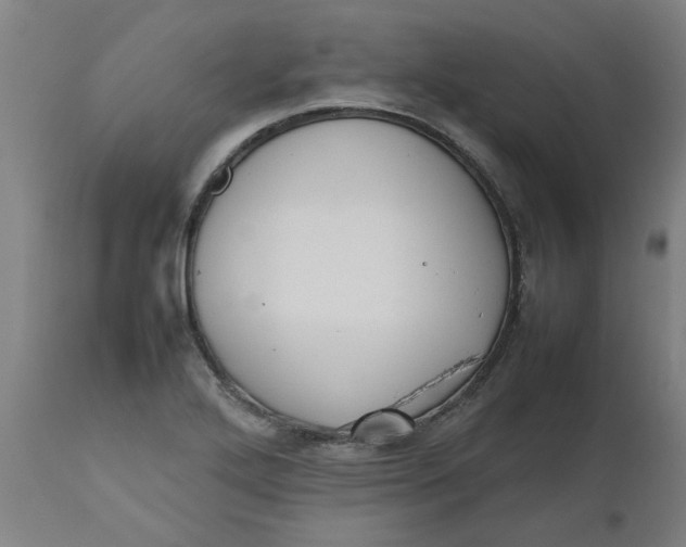 X0000112471272200909071125