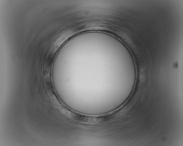 X0000112471273200909071125