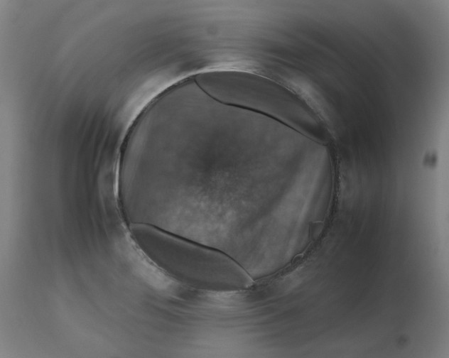 X0000112471276200909071125