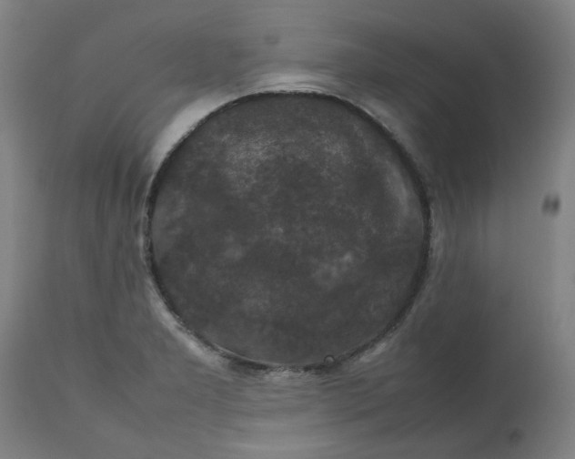 X0000112471277200909071125