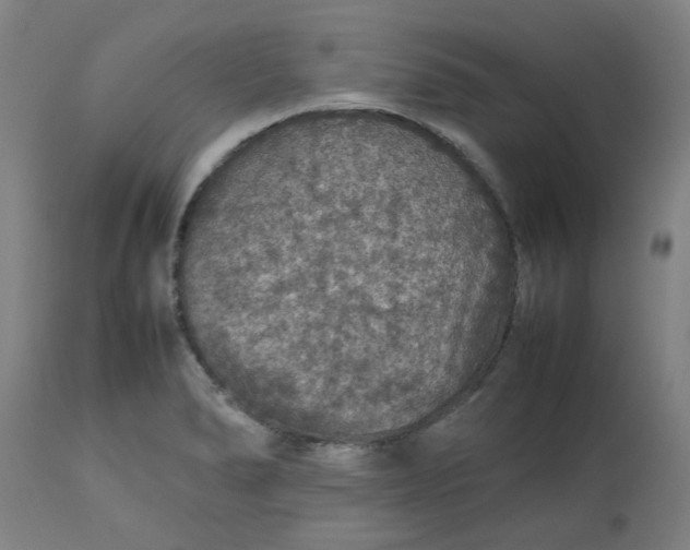 X0000112471278200909071125