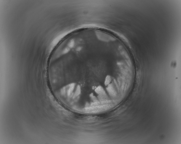 X0000112471279200909071125