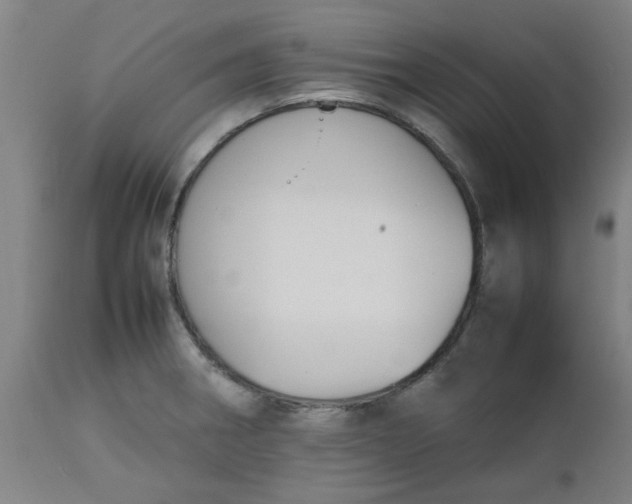 X0000112471282200909071125