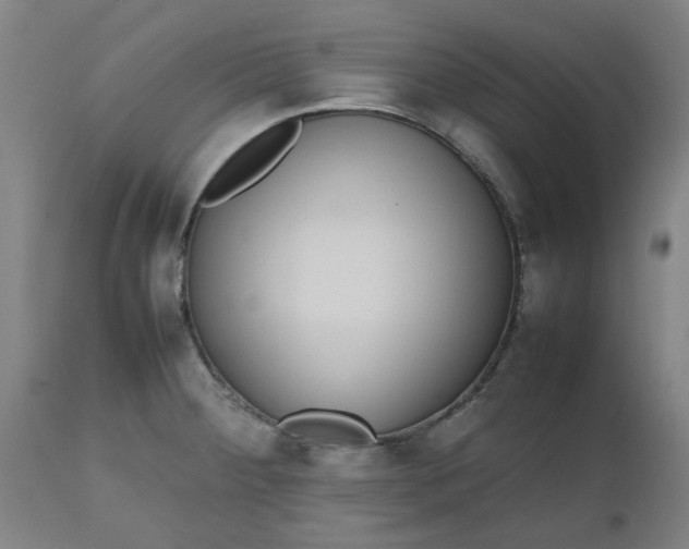 X0000112471284200909071125