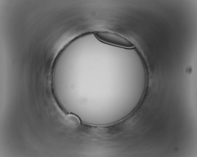 X0000112471285200909071125