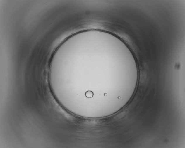 X0000112471286200909071125