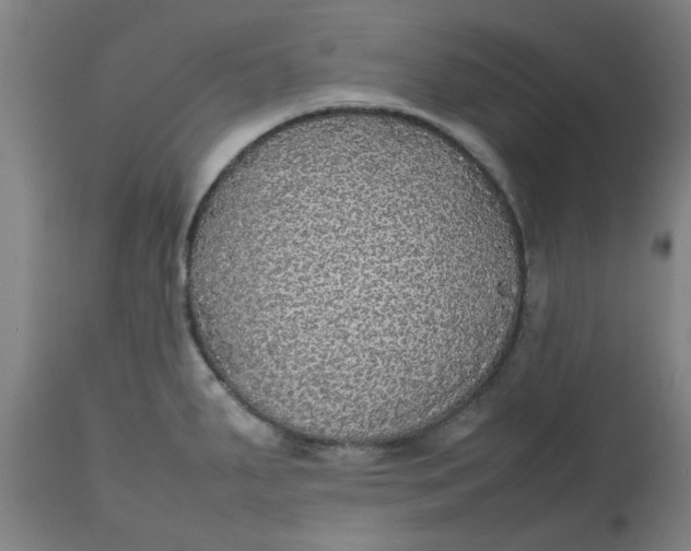 X0000112471287200909071125