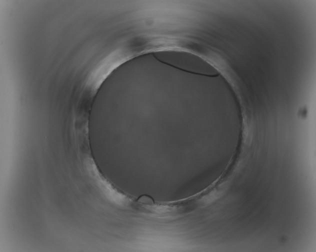 X0000112471289200909071125