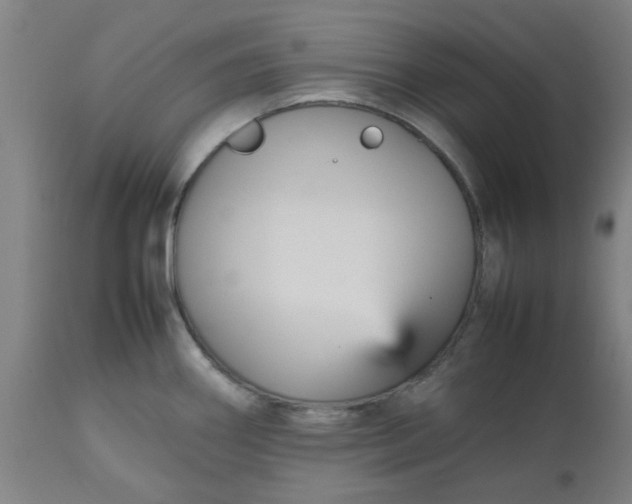 X0000112471290200909071125