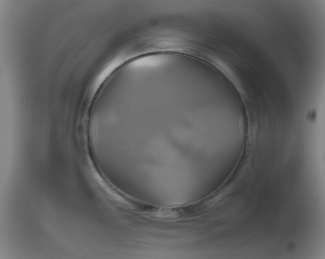 X0000112471291200909071125