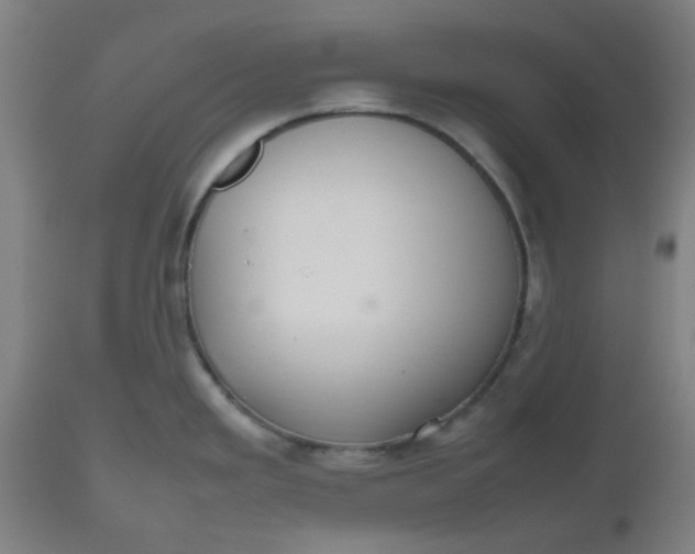 X0000112471293200909071125