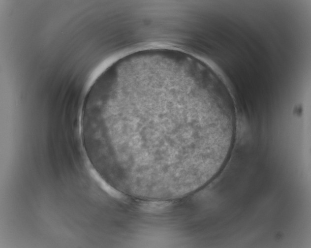 X0000112471294200909071125