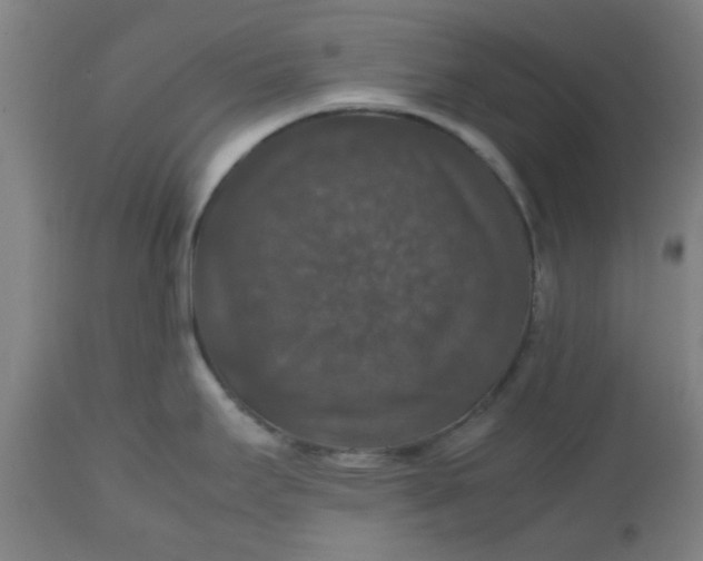 X0000112471295200909071125