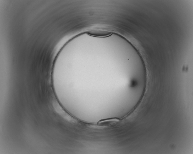 X0000112471296200909071124