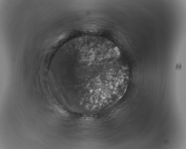 X0000112471297200909071124