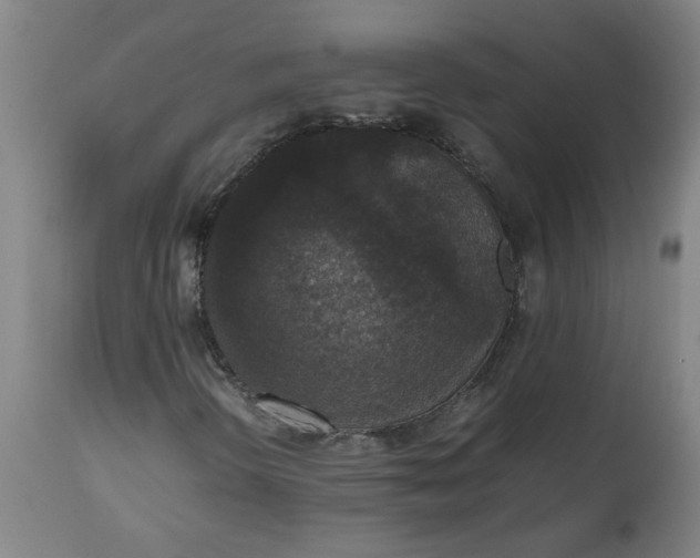 X0000112471298200909071124