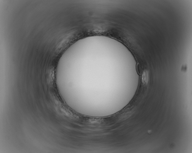 X0000112471299200909071124