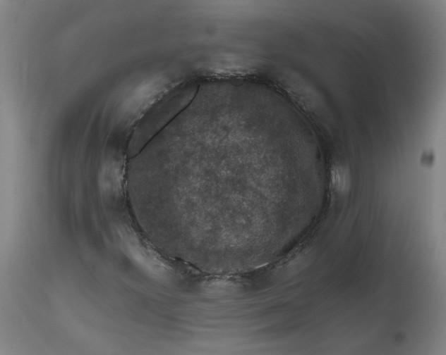 X0000112471300200909071124