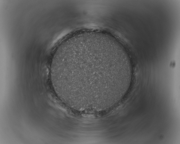 X0000112471302200909071124