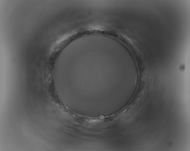 X0000112471303200909071124