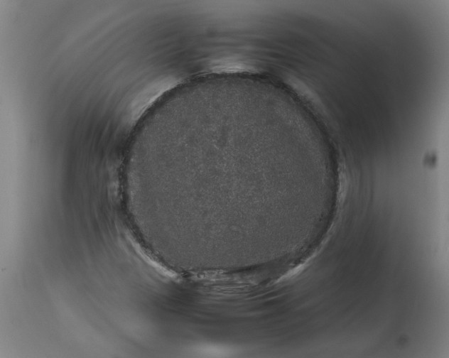 X0000112471305200909071124