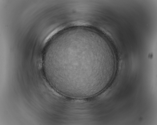 X0000112471306200909071124