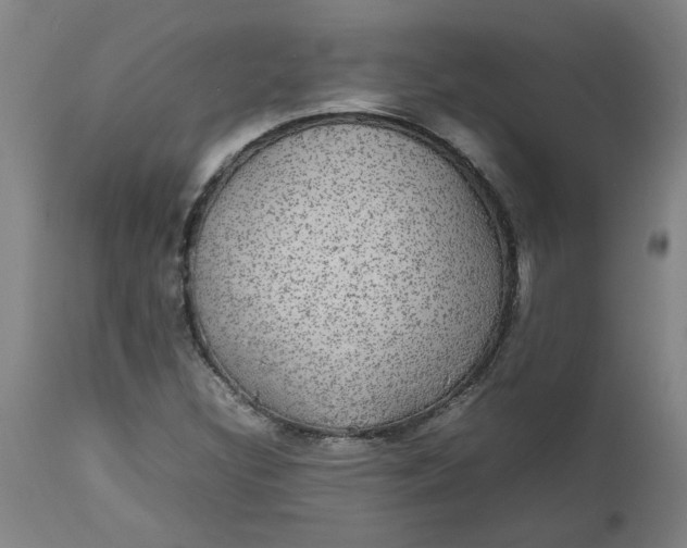 X0000112471308200909071124