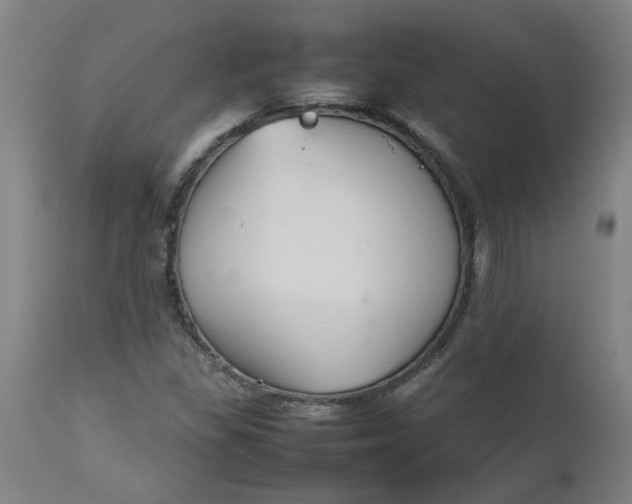 X0000112471309200909071124