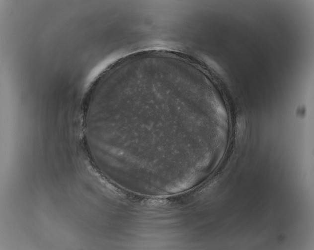 X0000112471310200909071124