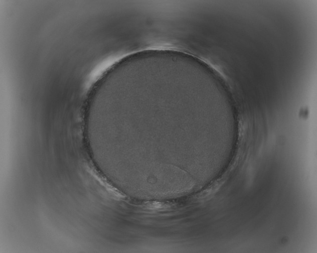 X0000112471311200909071124