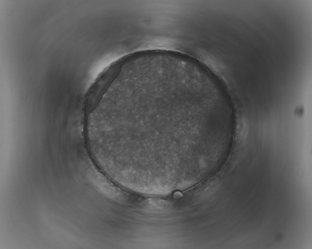 X0000112471312200909071124