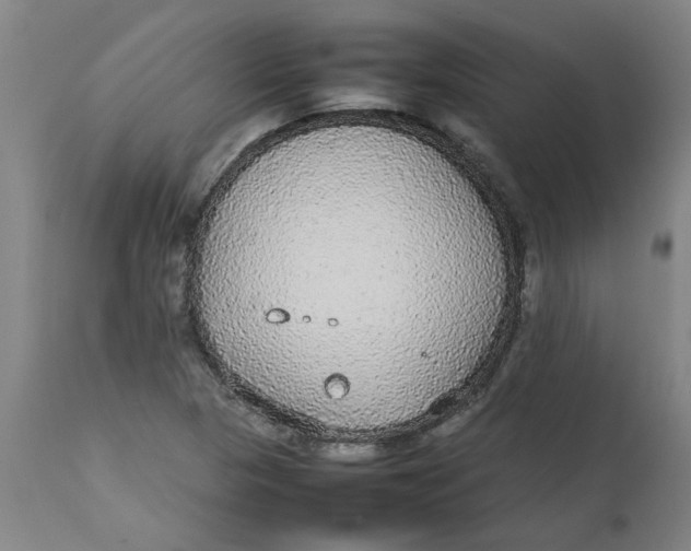 X0000112471313200909071124