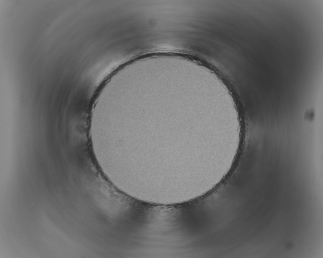 X0000112471314200909071124