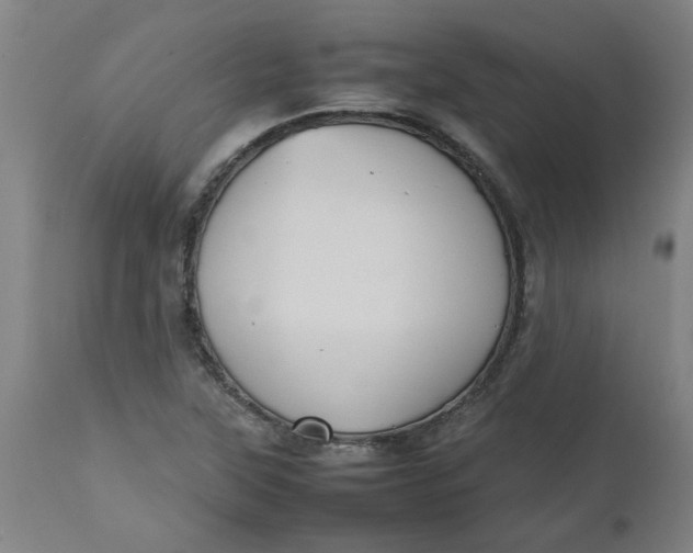 X0000112471315200909071124