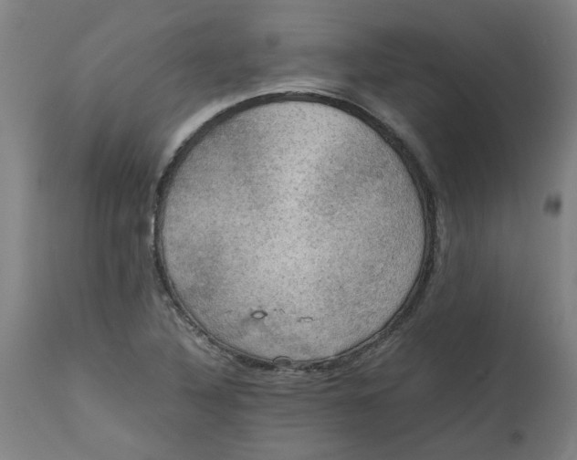 X0000112471316200909071124