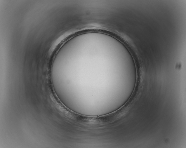 X0000112471318200909071124