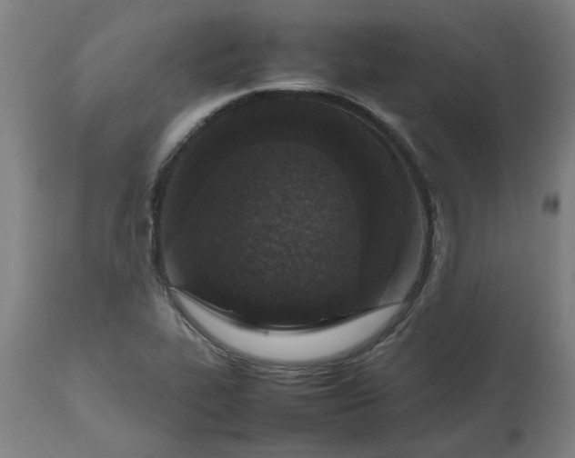 X0000112471319200909071124